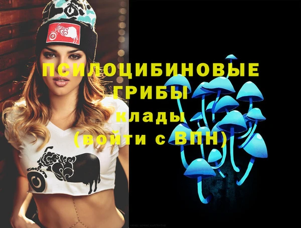 mdpv Алзамай