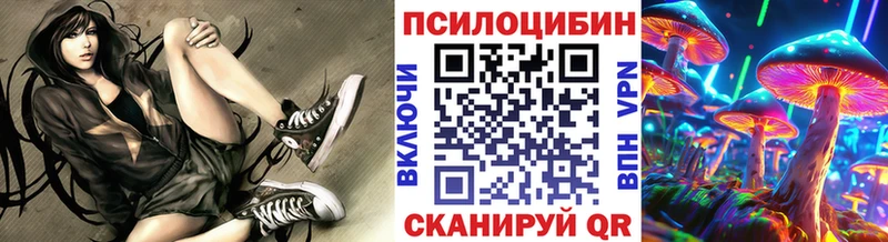 Псилоцибиновые грибы Psilocybe  это Telegram  Сясьстрой 